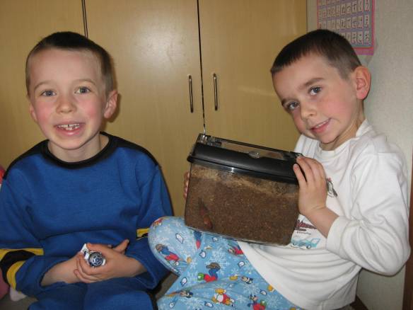 Austin and Ethan love checking on their pet rhinoceros beetle to see how he's getting along